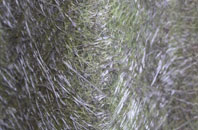 Edensor fibreglass roof work